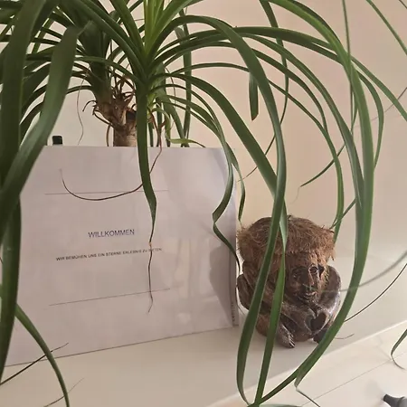 Appartement Second -