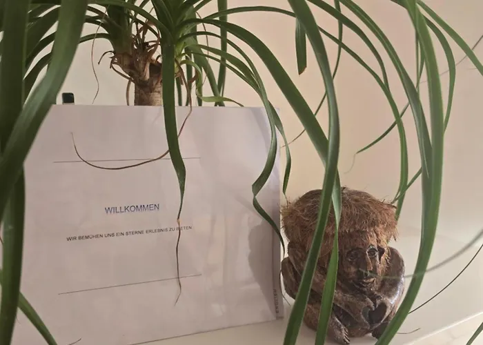 Appartement Second -